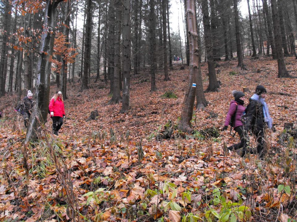 Wycieczka Vraní hory s002 - PTTK Strzelin