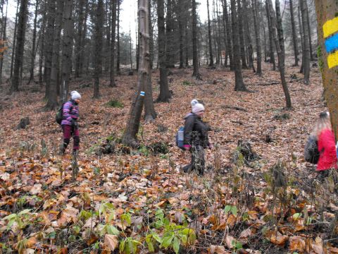Wycieczka Vraní hory s100 - PTTK Strzelin