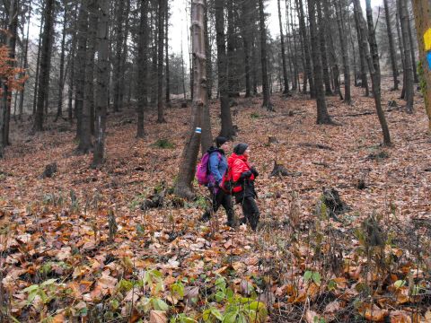 Wycieczka Vraní hory s102 - PTTK Strzelin
