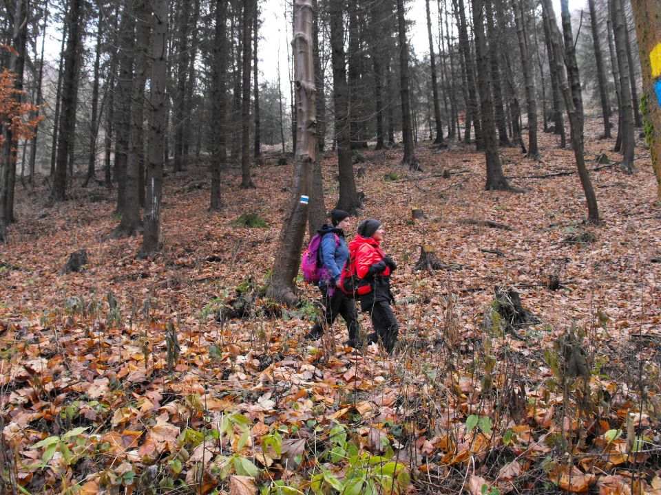 Wycieczka Vraní hory s002 - PTTK Strzelin