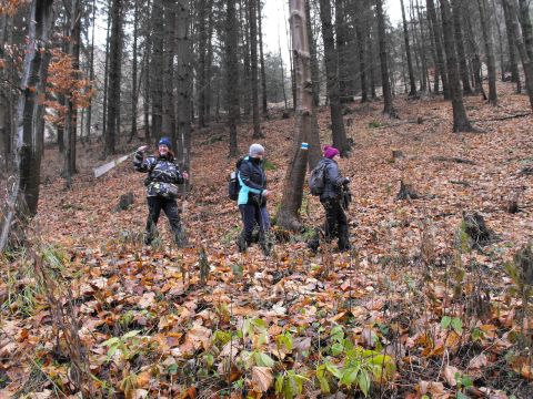 Wycieczka Vraní hory s104 - PTTK Strzelin