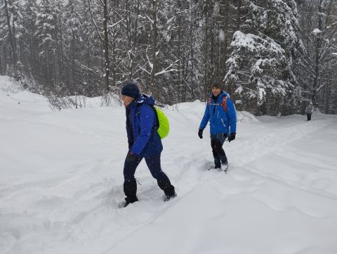 Wycieczka w Góry Krucze s31 - PTTK Strzelin