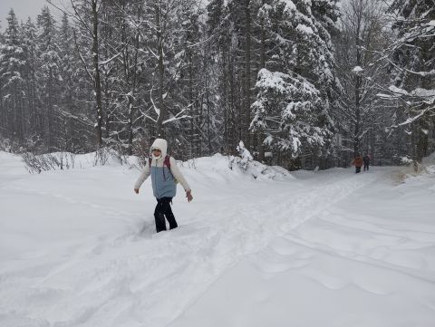 Wycieczka w Góry Krucze s32 - PTTK Strzelin