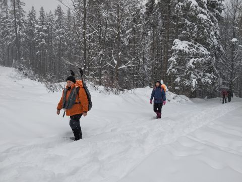 Wycieczka w Góry Krucze s33 - PTTK Strzelin