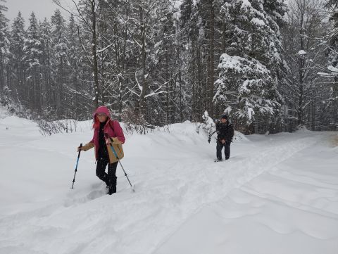 Wycieczka w Góry Krucze s34 - PTTK Strzelin