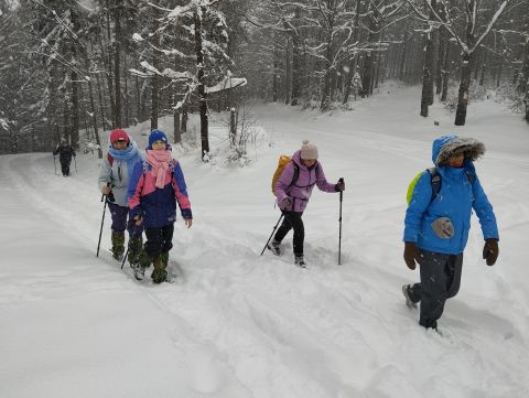 Wycieczka w Góry Krucze s40 - PTTK Strzelin
