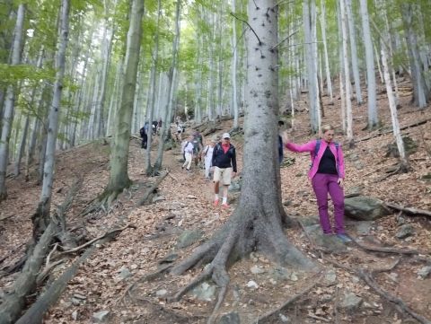 Wycieczka Malá Fatra s154 - PTTK Strzelin