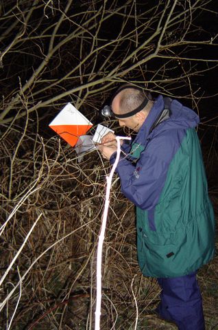 XIII Marsze na Orientację Beniamin s11 - PTTK Strzelin