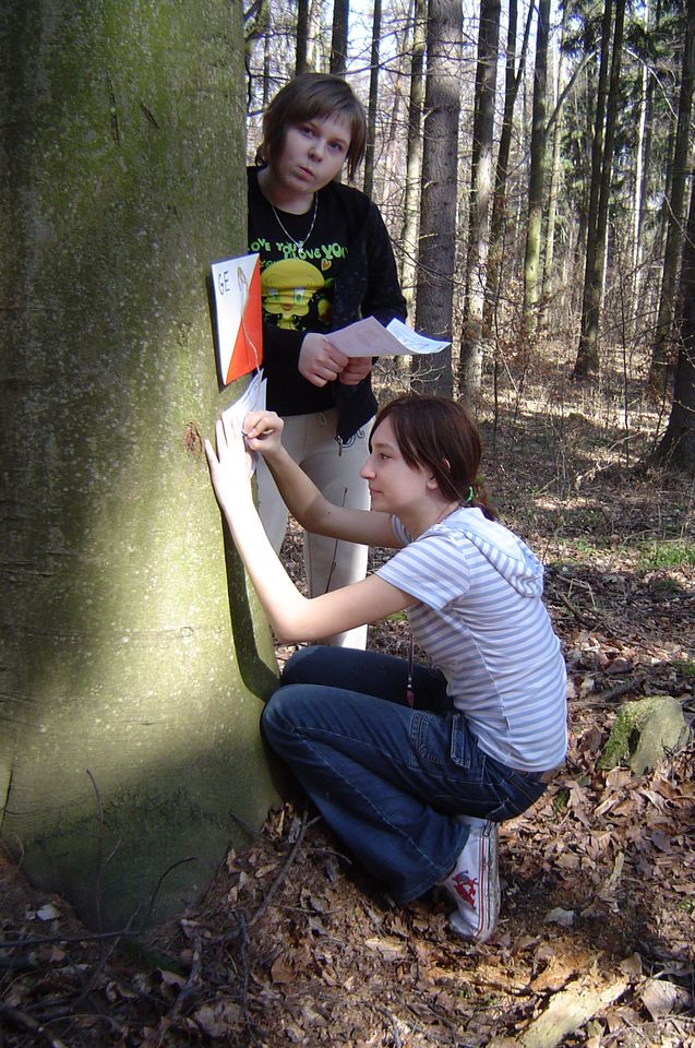 XIII Marsze na Orientację Beniamin s002 - PTTK Strzelin