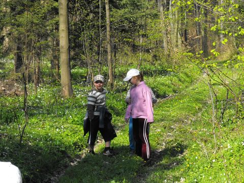 XIV Marsze na Orientacj� 'Beniamin'