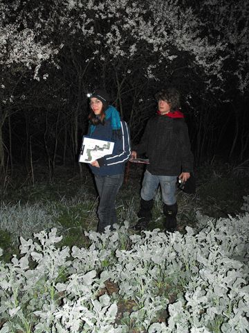 XV Marsze na Orientacj� 'Beniamin'