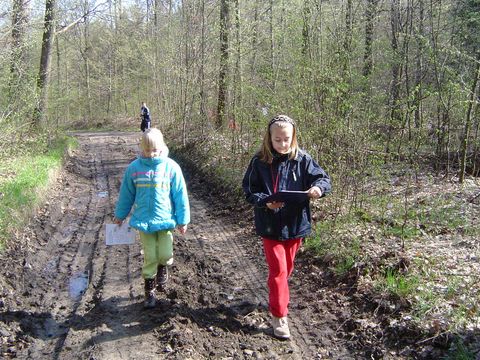 XV Marsze na Orientacj� 'Beniamin'