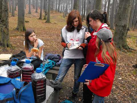 XVI Zawody na Orientacj� 'Beniamin' s056 - PTTK Strzelin