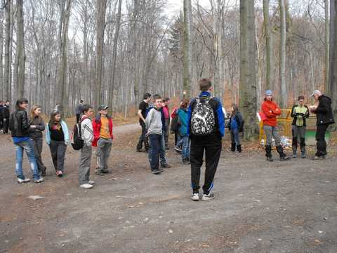 XVI Zawody na Orientacj� 'Beniamin' s084 - PTTK Strzelin