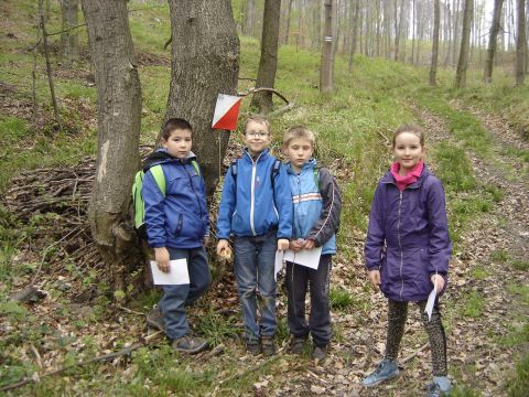 XVIII Zawody na Orientacj� 'Beniamin' s061 - PTTK Strzelin