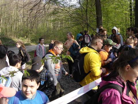 XIX Zawody na Orientacj� 'Beniamin' s003 - PTTK Strzelin