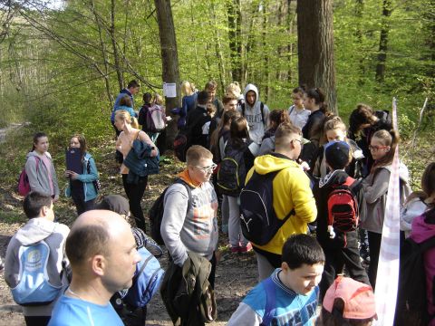 XIX Zawody na Orientacj� 'Beniamin' s004 - PTTK Strzelin