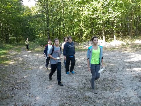 XV Zawody na Orientacj� 'Maria' s080 - PTTK Strzelin