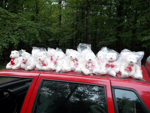 XV Zawody na Orientacj� 'Maria' s104 - PTTK Strzelin