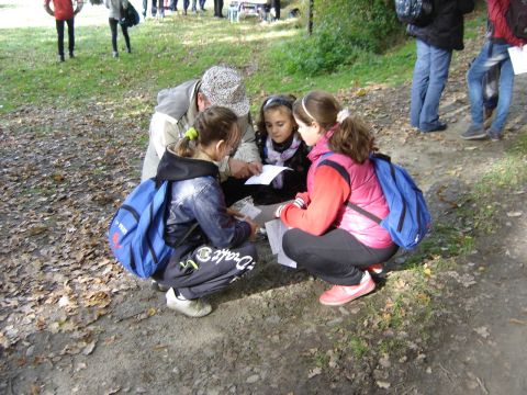 XVI Zawody na Orientacj� 'Maria' s014 - PTTK Strzelin