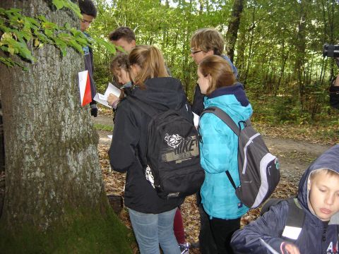 XVI Zawody na Orientacj� 'Maria' s018 - PTTK Strzelin