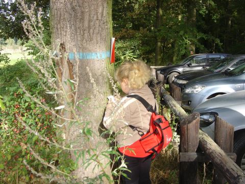 XVI Zawody na Orientacj� 'Maria' s022 - PTTK Strzelin