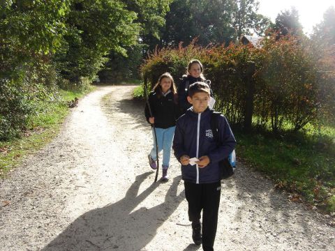 XVI Zawody na Orientacj� 'Maria' s024 - PTTK Strzelin