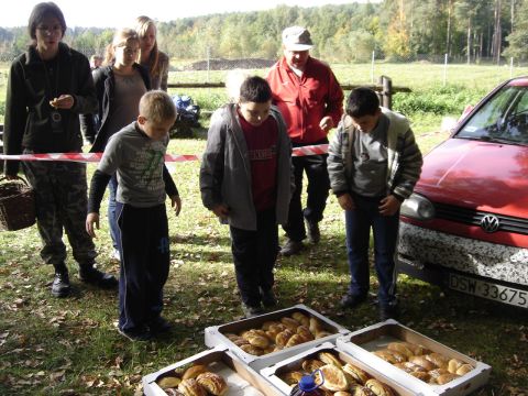 XVI Zawody na Orientacj� 'Maria' s032 - PTTK Strzelin