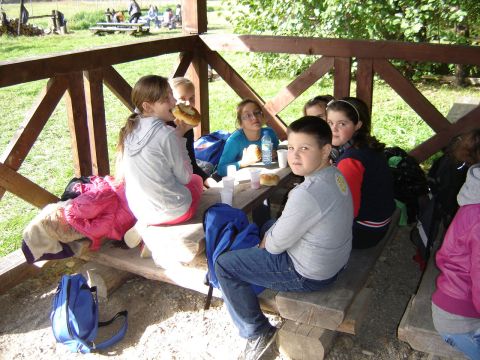 XVI Zawody na Orientacj� 'Maria' s085 - PTTK Strzelin