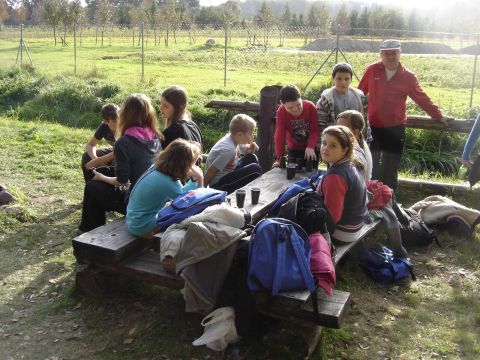 XVI Zawody na Orientacj� 'Maria' s098 - PTTK Strzelin