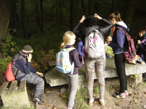 XVII Zawody na Orientacj� 'Maria' s012 - PTTK Strzelin