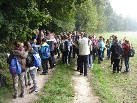 XVII Zawody na Orientacj� 'Maria' s013 - PTTK Strzelin