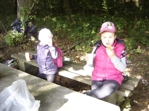 XVII Zawody na Orientacj� 'Maria' s065 - PTTK Strzelin