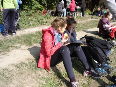 XVII Zawody na Orientacj� 'Maria' s068 - PTTK Strzelin