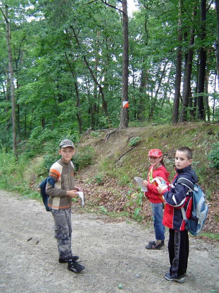 IX Marsz na Orientację Maria s002 - PTTK Strzelin