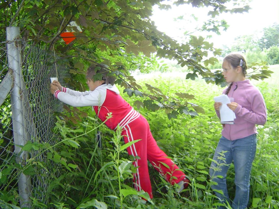 IX Marsz na Orientację Maria s002 - PTTK Strzelin