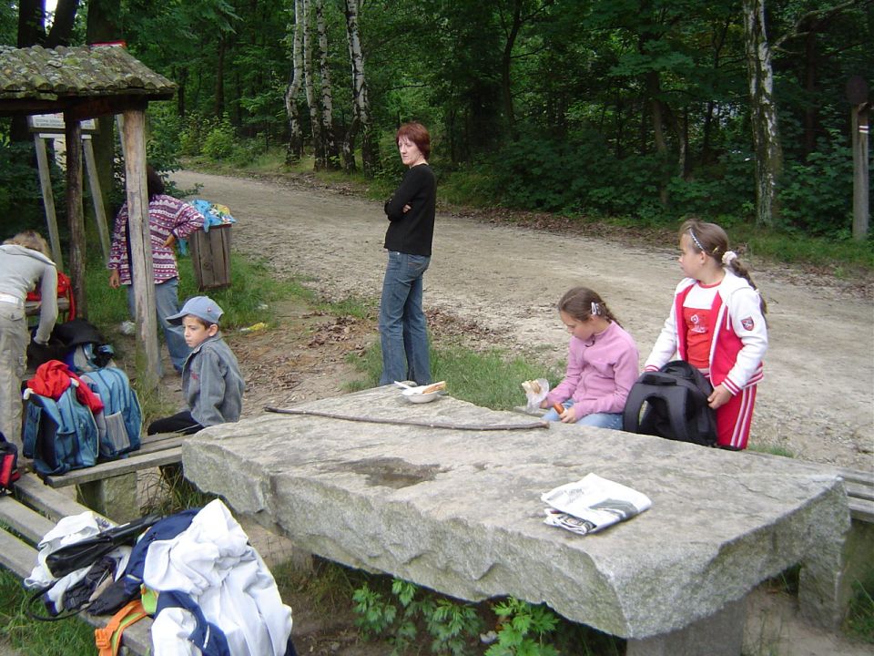 IX Marsz na Orientację Maria s002 - PTTK Strzelin