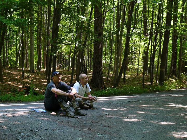 Matnia - XVI Mistrzostwa Polski w Indywidualnych Marszach na Orientację s9 - PTTK Strzelin