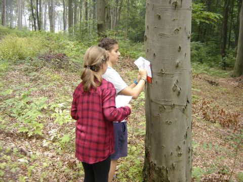 X Marsz na Orientacj� 'Picu�' s007 - PTTK Strzelin