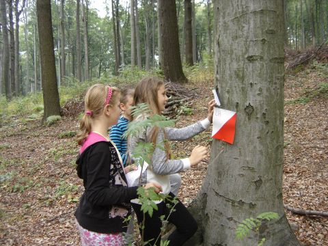 X Marsz na Orientacj� 'Picu�' s009 - PTTK Strzelin