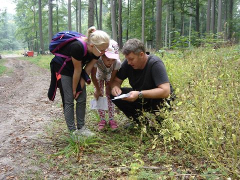 X Marsz na Orientacj� 'Picu�' s010 - PTTK Strzelin