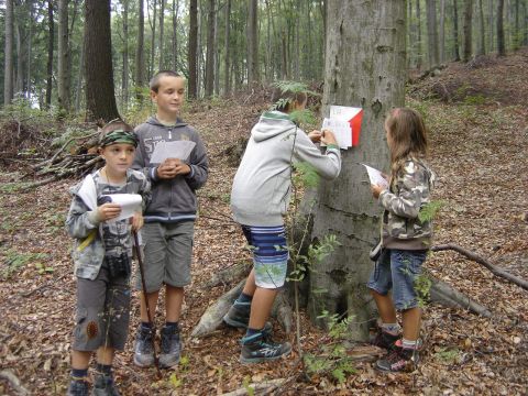 X Marsz na Orientacj� 'Picu�' s012 - PTTK Strzelin