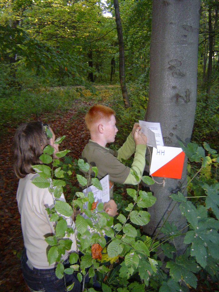 XII Ogólnopolskie Marsze na Orientację Szlakiem opadłych liści s002 - PTTK Strzelin