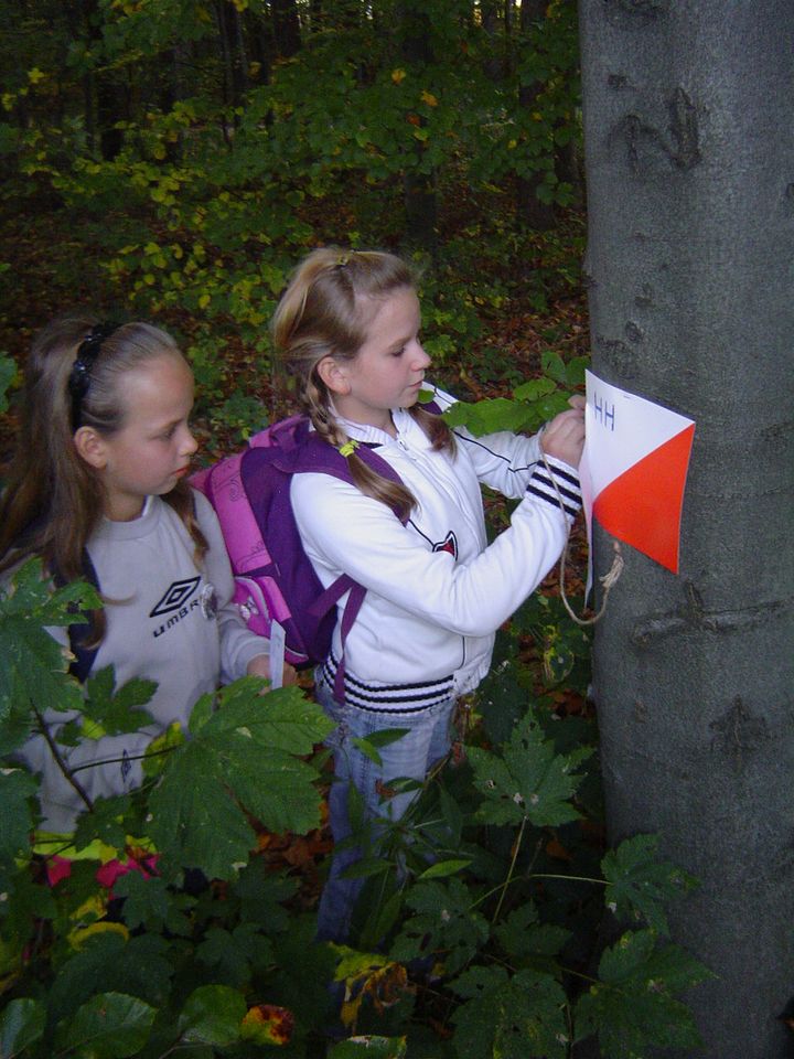 XII Ogólnopolskie Marsze na Orientację Szlakiem opadłych liści s002 - PTTK Strzelin