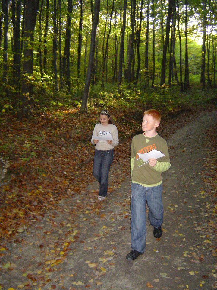 XII Ogólnopolskie Marsze na Orientację Szlakiem opadłych liści s002 - PTTK Strzelin