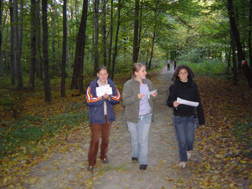 XII Ogólnopolskie Marsze na Orientację Szlakiem opadłych liści s002 - PTTK Strzelin