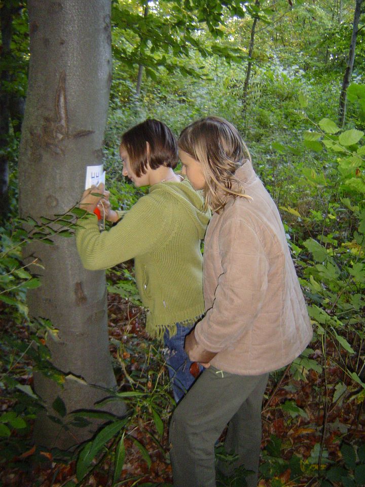 XII Ogólnopolskie Marsze na Orientację Szlakiem opadłych liści s002 - PTTK Strzelin