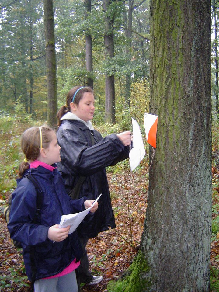III Marsz na Orientację Picuś s002 - PTTK Strzelin