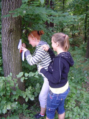 V Marsz na Orientacj� 'Picu�'