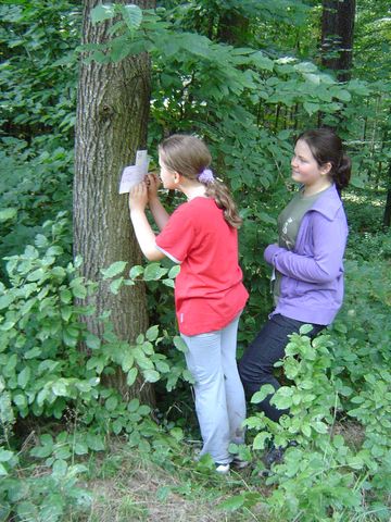 V Marsz na Orientacj� 'Picu�'